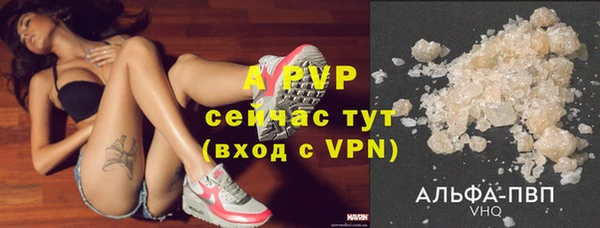 стафф Беломорск