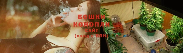 дурь Богородск