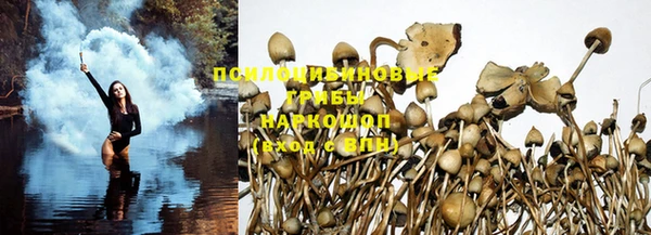 соль курить ск Богданович