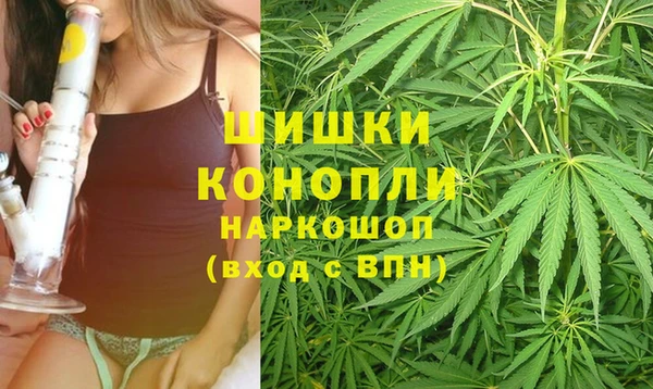 дурь Богородск