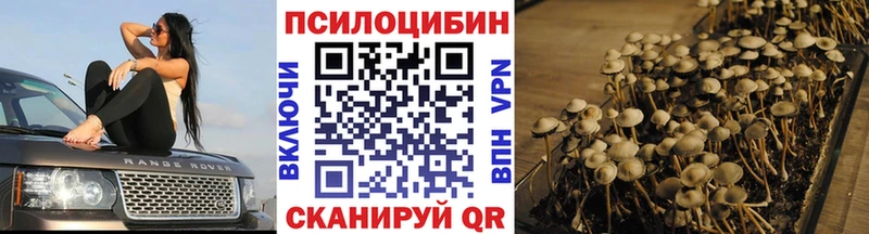 Галлюциногенные грибы GOLDEN TEACHER  Боровичи 