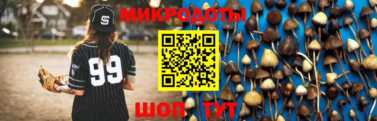 Галлюциногенные грибы Psilocybe  Вход с VPN  Боровичи 