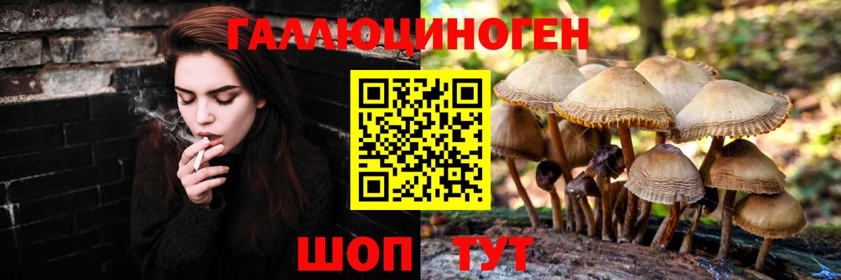 Псилоцибиновые грибы MAGIC MUSHROOMS Боровичи